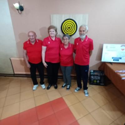 Pokrajinsko prvenstvo osoba sa invaliditetom u pikadu