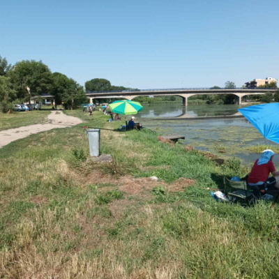 Takmičenje u sportskom ribolovu u Srbobranu