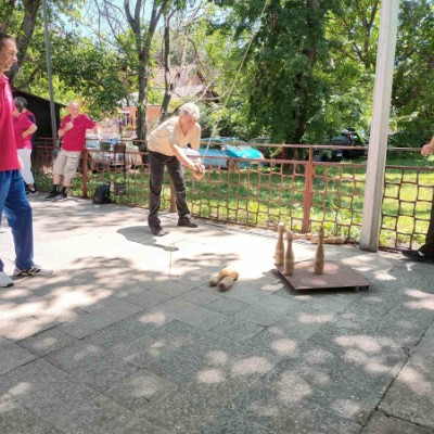 Pokrajinsko prvenstvo u visećoj kugli